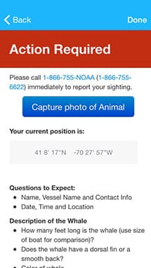 screen shot of whale alert app showing "take action" page