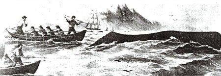 image of whaling in sam simeon cove