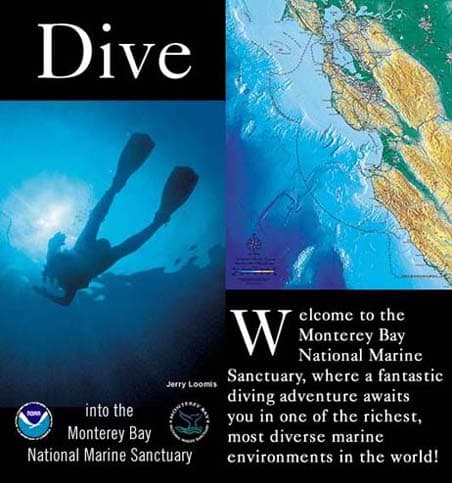 Mbnms 2001 Dive Brochure