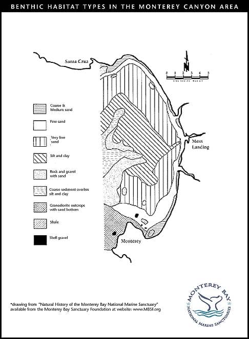 Benthic Habitat Types In The Monterey Canyon Area