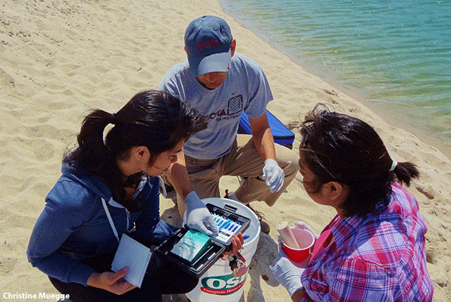 Image of Snapshot Day volunteers testing dissolved oxygen in the Carmel River in Carmel, California, by Christina Muegge