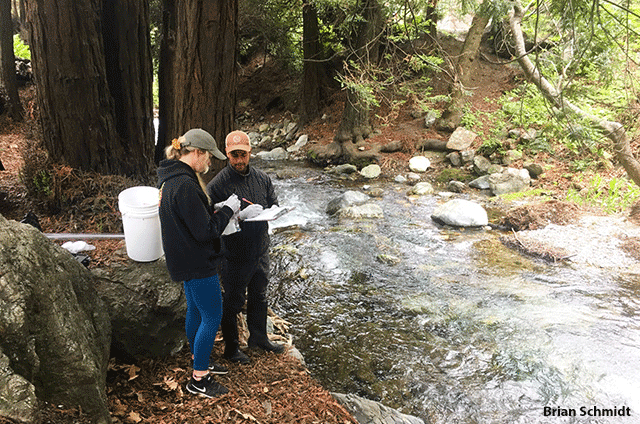 Image of Snapshot Day volunteers test pH and other field measurements as well as collect water samples from Limekiln Creek in Big Sur, CA. by Brian Schmidt