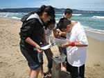students doing an cirriculum activity on the beach