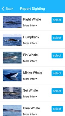 screen shot of whale alert app shoing list of types of whales