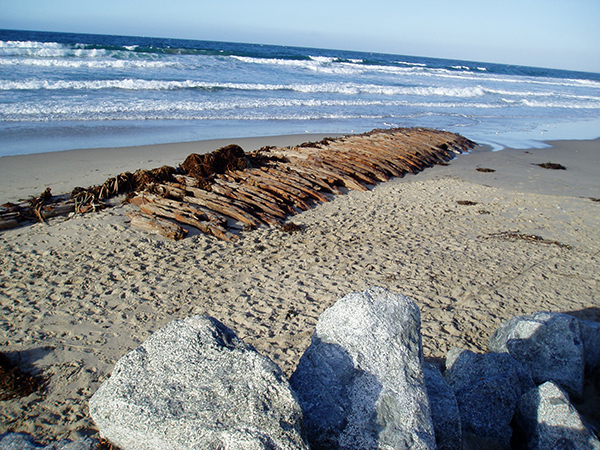 SHIPWRECKS AND SEA MONSTERS / California / Bay of Monterey