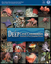 small image of Deep Sea Corals poster