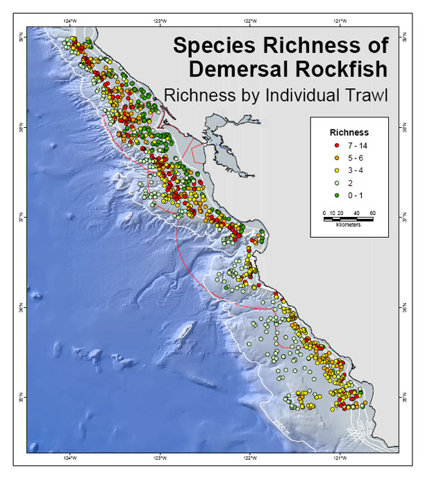 richness of rocfish population map