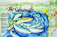small image of the MBNMS salmonid poster