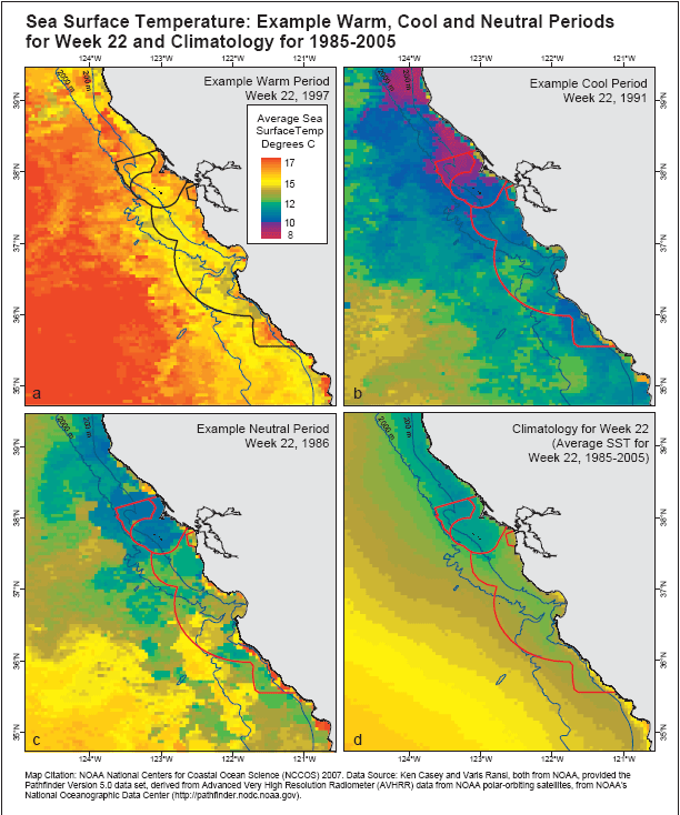 sea surface temperature maps