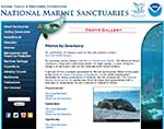 National Marine Sanctuary Photo Gallery