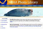 NOAA Photo Library