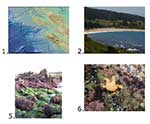 A Slideshow of Monterey Bay Sanctuary Images