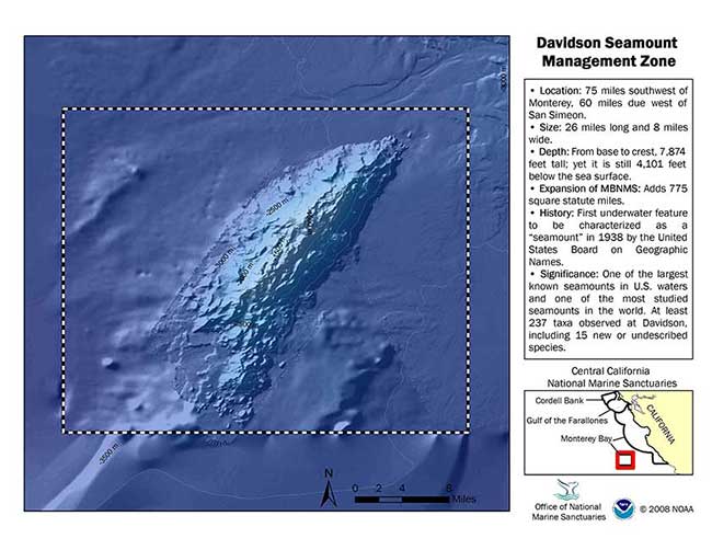 Davidson Seamount Management Zone Inset Map