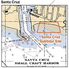 Santa Cruz Harbor Dredge Disposal Site