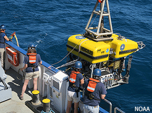 ROV Hercules launches off of the E/V Nautilus. Credit: Claire Fackler/NOAA