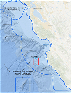 small image of map of target areas at Davidson Sea mount on OET Nautilus 2019