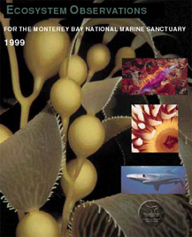 1999 EcoObs Cover