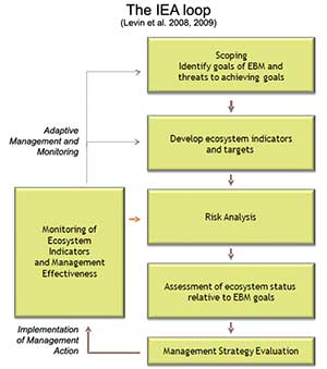 Integrated Ecosystem Assessment loop flow chart diagram
