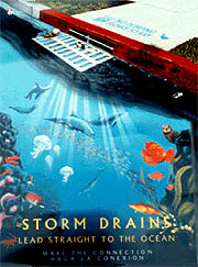 storm drain poster