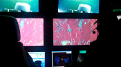Scientists Monitoring Seafloor Activity in MBNMS