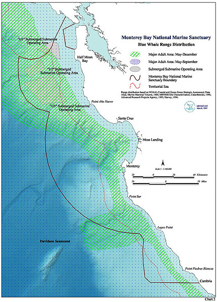 Chart 2 -- Blue Whale Range Distribution. 