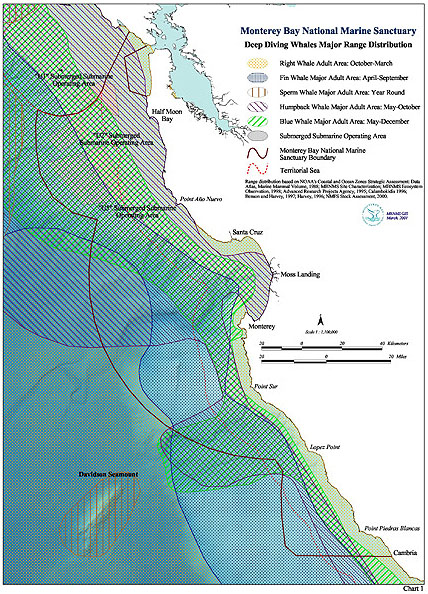 Deep Diving Whales Major Range Distribution