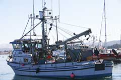 fishing vessel Donna Kathleen
