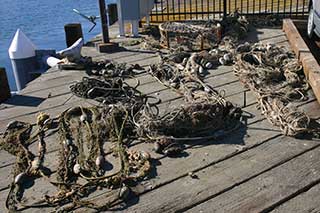 recovered marine debris on dock