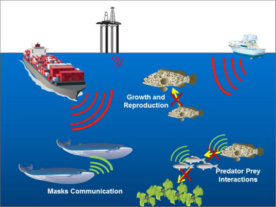 graphic of different sources of marine noise