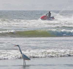 jet ski in surf, bird in foreground
