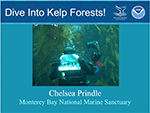 small image of dive into kelp forests program brochure
