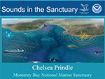 small image of sounds in the sanctuary program brochure