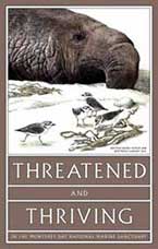Poster Series: Threatened & Thriving