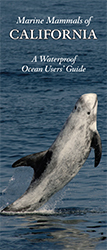 image of the front cover of the California Marine Mammals Users' Guide